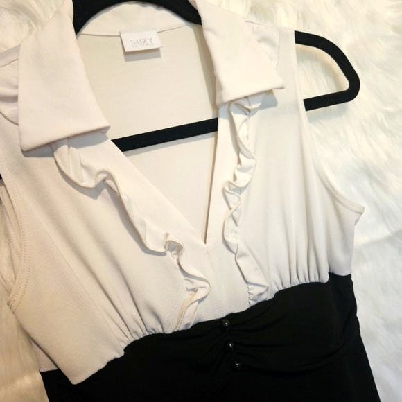 Classic Ruched Waist Ruffle Collared Mini Dress - Picture 2 of 4